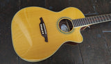 Wechter NV-5413CE Nashville-Tuned