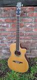 Wetcher Acoustic NV5413CE