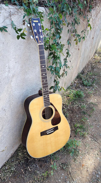 Yamaha FG345 – Moze Guitars