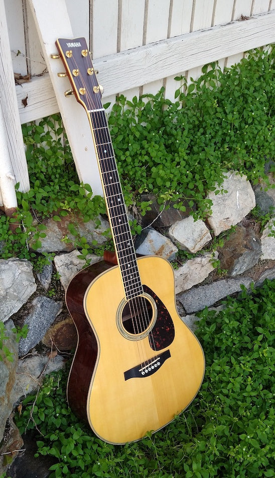 Yamaha LL16 – Moze Guitars