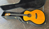 Zimnicki Custom Acoustic Guitar