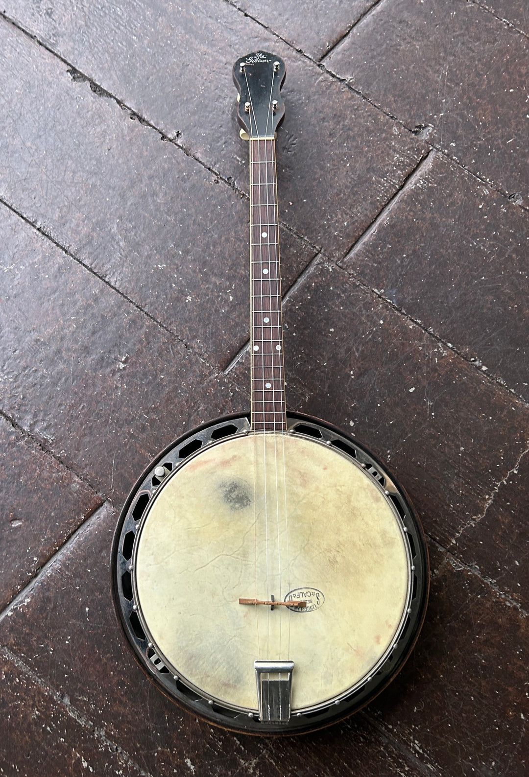 Mandolin / Banjo – Moze Guitars