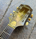 1960's Framus 5/97 Acoustic