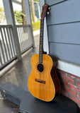 1961 Goya TG-15 Tenor Guitar