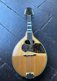 Gennard De Luccia Mandolin spruce top, with rosewood bridge and fretboard, ebony headstock