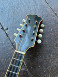 1964 Gennaro De Luccia Mandolin