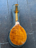 1964 Gennaro De Luccia Mandolin