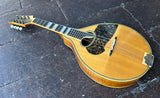 1964 Gennaro De Luccia Mandolin