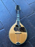 1964 Gennaro De Luccia Mandolin