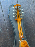 1964 Gennaro De Luccia Mandolin