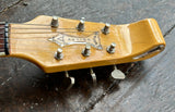 1967 Baldwin Burns Bison