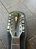 1967 Hofner 457/12 (Twelve String)
