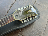 1967 Hofner 457/12 (Twelve String)