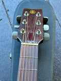 1973 Yamaha FG-160 with hardshell case