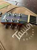 1996 Taylor Baby Taylor Model 305