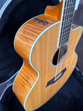 2003 Taylor 655ce 12-String