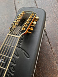 2003 Taylor 655ce 12-String