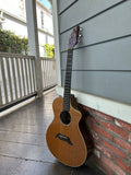 2010 Breedlove Pro Series C25/CRe Herringbone Acoustic-Electric