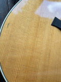 2015 Taylor 210e DLX