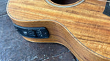 2025 Taylor GS Mini-e Koa