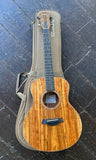 2025 Taylor GS Mini-e Koa