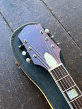 60's Silvertone 1454 with Bigsby (Lonely Boy)