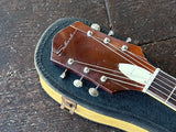 60's Silvertone 1454 with Bigsby (Lonely Boy)