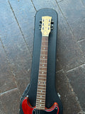 Blue Ribbon Guitar Co.  LP JR