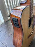 Blueridge BR-40E