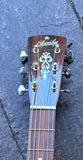 Blueridge BR-40E