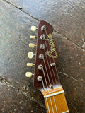 Cervantes Black Añejo T Telecaster