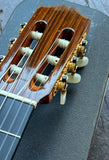 Cordoba 40R Classical with case