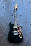 Custom Baritone Cooder-caster style