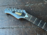 Custom Electric JR13