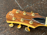 Fernandez MG-80X