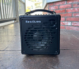 Henriksen The Bud 6" Combo Amplifier