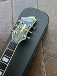 Hagstrom Viking