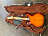 Peavey T-25
