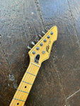 Peavey T-25