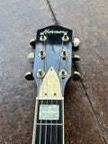 60's  Harmony H-66 Vibra Jet