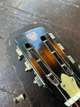 1973 Dobro D60