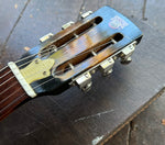 1973 Dobro D60