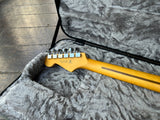 2024 Fender Stratocaster American Professional II