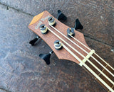 Gold Tone Micro Bass M-Bass25FL
