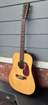 1998 Martin DM-12 (Twelve String)