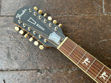 Fender Tim Armstrong Signature Hellcat - 12 string