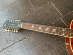 Fender Tim Armstrong Signature Hellcat - 12 string
