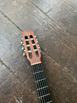 Godin Multiac ACS5A Nylon String