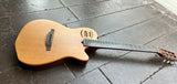 Godin Multiac ACS5A Nylon String