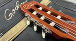 Godin Multiac ACS5A Nylon String